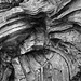 Tree Detail Mono