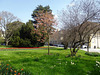 Frühlingstag im Schlosspark von Morges