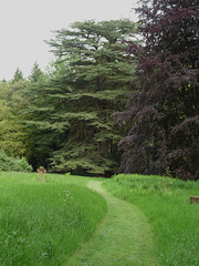 Approaching the Arboretum