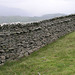 Lingmoor wall