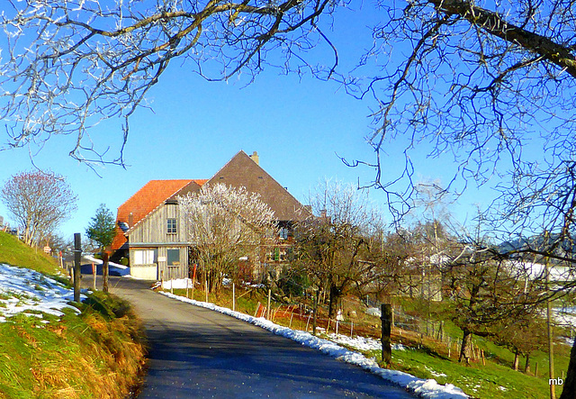 Little Swiss Farm in the Emmental