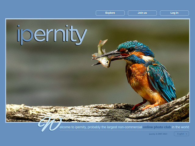 ipernity homepage with #1512