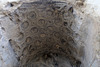 Carved cave roof
