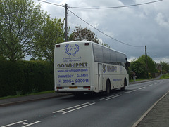 DSCF9117 Go-Whippet (Whippet Coaches) H19 WCL (Y391 KBN)