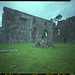 Bective Abbey (3)