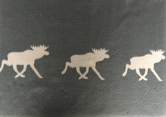 Les rennes du Père Noël...