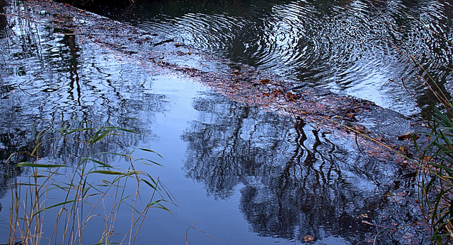 Reflections 4