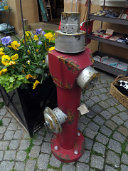 Wasser Hydrant