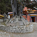 Khumbu, Monastery in Khumjung