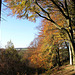 Autumn colours, Limb Valley.