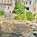 Ancient Agora now a meeting place for cats of Taormina Sizilien