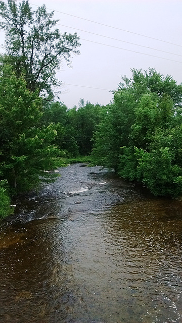 Old mill's environment