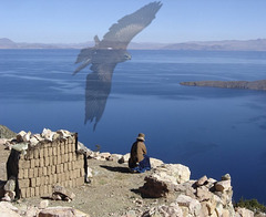 Le lac Titicaca en Bolivie************