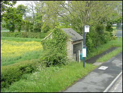 bus stop in buttercup time
