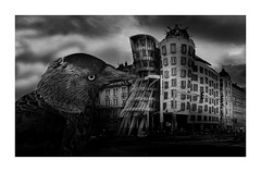 Prague- Collage