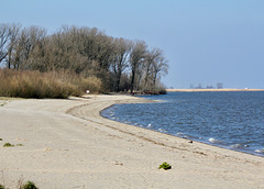 Sandstrand an der Elbe   (Krautsand)