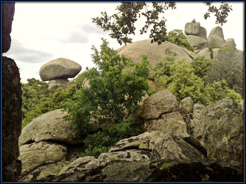 Granite and oak (and Mushroom Rock)