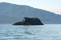 Alaska, Homer, Gull Island in Kachemak Bay