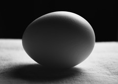 The Elemental Easter Egg