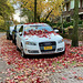 2007 Audi A4 and red leaves