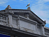 Neo classical with seagull