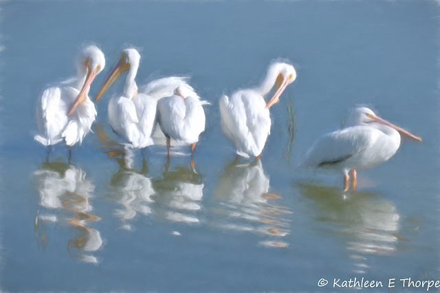 White Pelicans - Topaz Painting Watercolor I