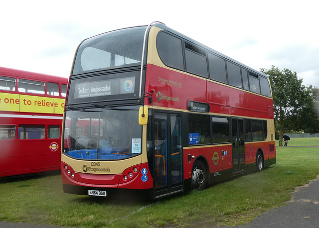 Buses Festival, Peterborough - 8 Aug 2021 (P1090415)
