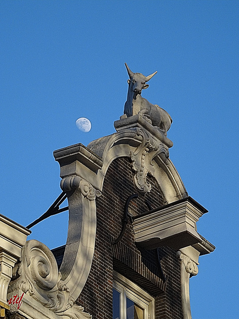 afternoon moon in Amsterdam