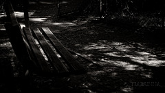Bench in mono