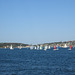 Boats On Sydney Harbour