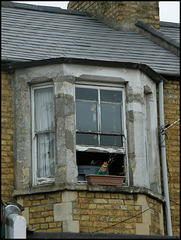 worn-out windows
