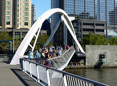 Pedestrian Bridge (4) - 4 March 2015