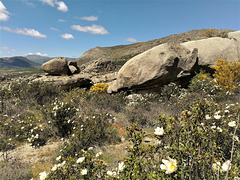 La Sierra de La Cabrera, Mondalindo and the Bustarviejo Valley.