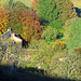 Autumn country cottages, North Yorkshire