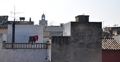 per sobre de les teulad (© Buelipix)