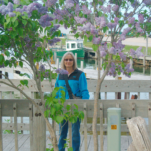 Joan Amongst the Lilacs