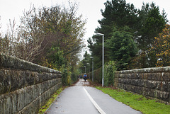 Viaduct Walk, Site of the Old Railway Line, 2014