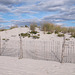 Dunes et clôtures