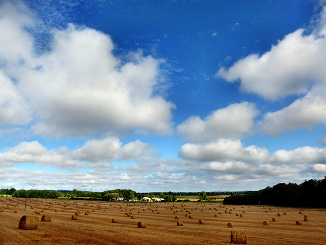 Nieul-le-Virouil - Empty fields