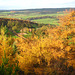 Autumn Harwood Dale, North Yorkshire