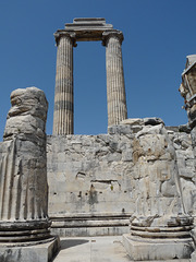 Didyma- Temple of Apollo-