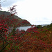 Autumn in Ennerdale, Lake District