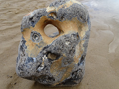 Beachcombing - Cromer rock