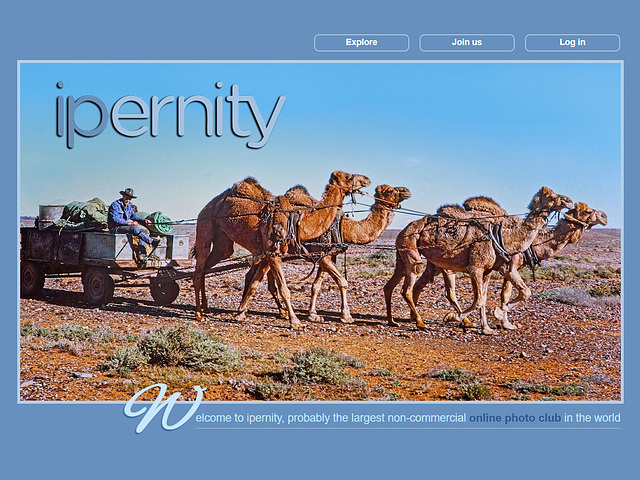 ipernity homepage with #1599