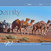 ipernity homepage with #1599