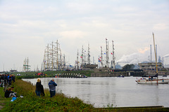Sail 2015 – IJmuiden lock with tall ships