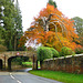 Autumn in Hackness, North Yorkshire