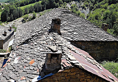 Roofs at Dardhë
