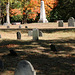 Autumn in the cemetary
