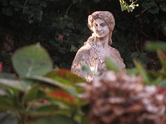 la statue de mon jardin derrière les hortensias